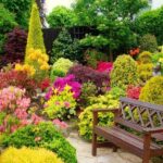 ԴԵԿՈՐԱՏԻՎ ԲՈՒՅՍԵՐ / ԴԵԿՈՐԱՏԻՎ ԲՈՒՅՍԵՐԻ ՏԵՍԱԿՆԵՐԸ - DEKORATIV BUYSER