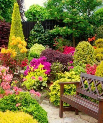 ԴԵԿՈՐԱՏԻՎ ԲՈՒՅՍԵՐ / ԴԵԿՈՐԱՏԻՎ ԲՈՒՅՍԵՐԻ ՏԵՍԱԿՆԵՐԸ - DEKORATIV BUYSER