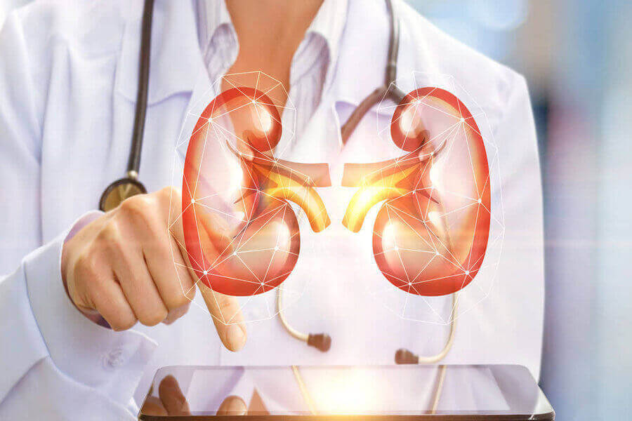 ՈՒՐՈԼՈԳ / Ի՞ՆՉ Է ԲՈՒԺՈՒՄ ՈՒՐՈԼՈԳԸ ԿԱՆԱՆՑ ԵՎ ՏՂԱՄԱՐԴԿԱՆՑ ՄՈՏ - UROLOG UROLOGIA