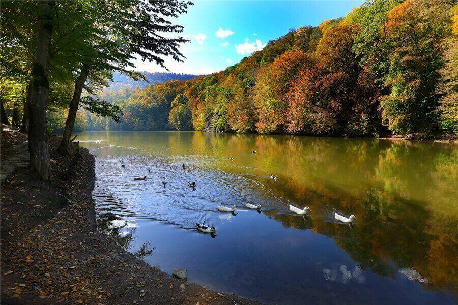 ՏԱՎՈՒՇԻ ՄԱՐԶ ( ԴԻԼԻՋԱՆ ) ՏՈՒՐ ՈՒՂԵՑՈՒՅՑ / ՏԵՍԱՐԺԱՆ ՎԱՅՐԵՐ ՏԱՎՈՒՇԻ ՄԱՐԶՈՒՄ / ԻՆՉՈՒ՞ ՏՈՒՐԵՐ ԴԵՊԻ ՏԱՎՈՒՇ - DILIJAN - TAVUSH - TAVUSHI MARZ