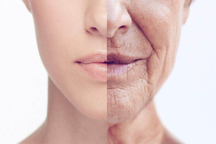 ԿՆՃԻՌՆԵՐԻ ՊԱՏՃԱՌՆԵՐԸ ԵՎ ՏԵՍԱԿՆԵՐԸ
