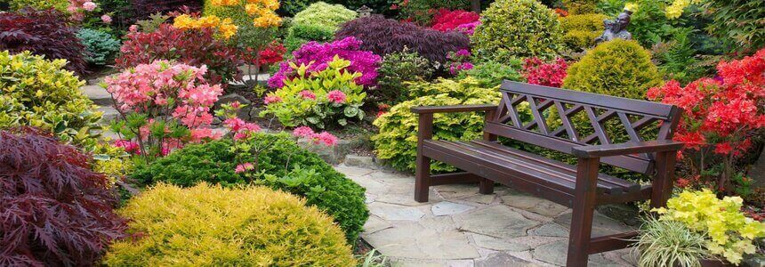 ԱՅԳՈՒ ԴԵԿՈՐԱՏԻՎ ԲՈՒՅՍԵՐ ( ԲՈՒՅՍ. ԹՈՒՓ ) ԴԵԿՈՐԱՏԻՎ ԲՈՒՅՍԵՐԻ ԽԱՆՈՒԹՆԵՐ ( ԽԱՆՈՒԹ ) - ԲՈՒՅՍԵՐԻ ԽԱՆՈՒԹ - ԽԱՆԱՉԱՊԱՏՈՒՄ - ԾԱՌԵՐ - ԹՓԵՐ