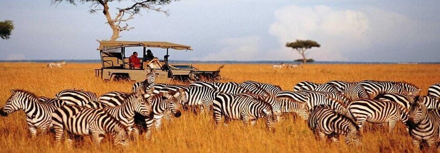 ԱՖՐԻԿԱ ՏՈՒՐ  ԱՖՐԻԿԱԿԱՆ ԵՐԿՐՆԵՐ ՏՈՒՐԵՐ ԱՌԱՋԱՐԿՈՂ ՏՈՒՐԻՍՏԱԿԱՆ ԳՈՐԾԱԿԱԼՈՒԹՅՈՒՆՆԵՐ - АФРИКА - AFRIKA TURER ՏՈՒՐԻԶՄ