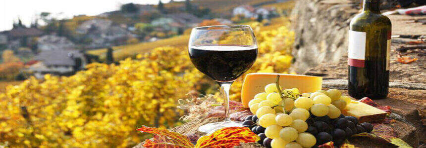 ԳԻՆԻՆԵՐ ( ԳԻՆԻ ԱՐՏԱԴՐՈՂՆԵՐ  ԳԻՆՈՒ ԳՈՐԾԱՐԱՆՆԵՐ  ԳԻՆԻՆԵՐԻ ՎԱՃԱՌՔ )