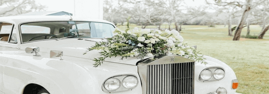 ՀԱՐՍԱՆՅԱՑ ՄԵՔԵՆԱՆԵՐ ( ՄԵՔԵՆԱ ) ՀԱՐՍԱՆԵԿԱՆ ՄԵՔԵՆԱՆԵՐԻ ՎԱՐՁՈՒՅԹ ԱՎՏՈՎԱՐՁՈՒՅԹ