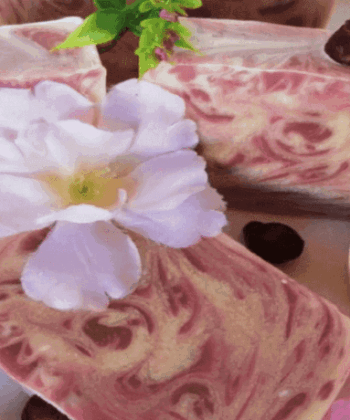 ՕՐԳԱՆԱԿԱՆ ՕՃԱՌ - 5 ՊԱՏՃԱՌ ԱՅՆ ՕԳՏԱԳՈՐԾԵԼՈՒ ՀԱՄԱՐ